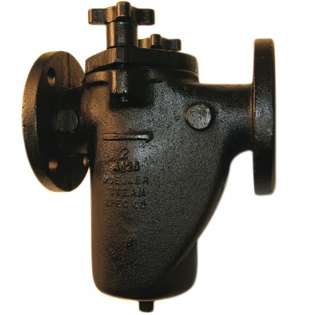 125F-CI Mueller Steam Specialty Class 125 Cast Iron Flanged End Basket Type Strainers