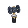Slėgio perkričio reguliatorius AVP50 DN50 Kvs 25,0m3/h 003H6374